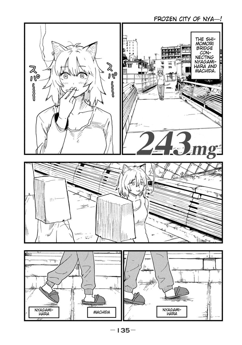 Yani Neko 243 1