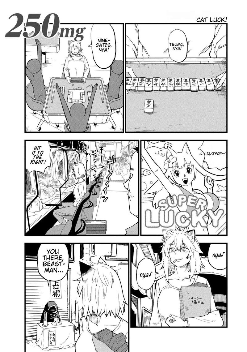 Yani Neko 250 1