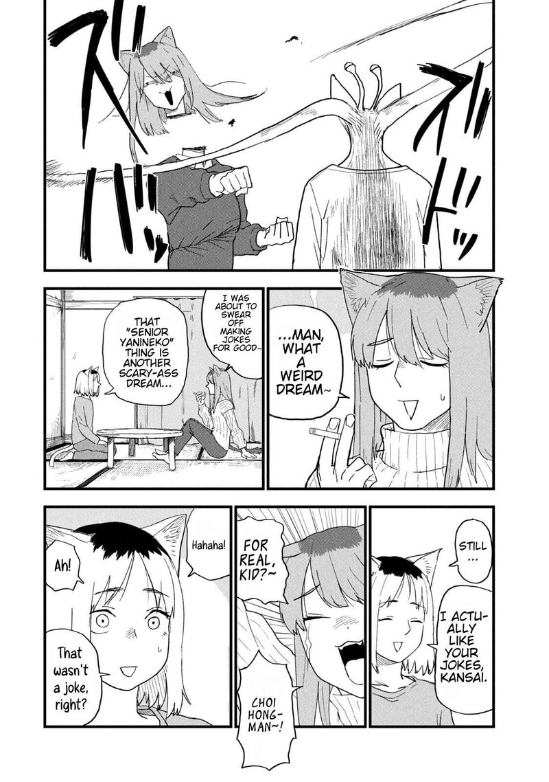 Yani Neko 251 2
