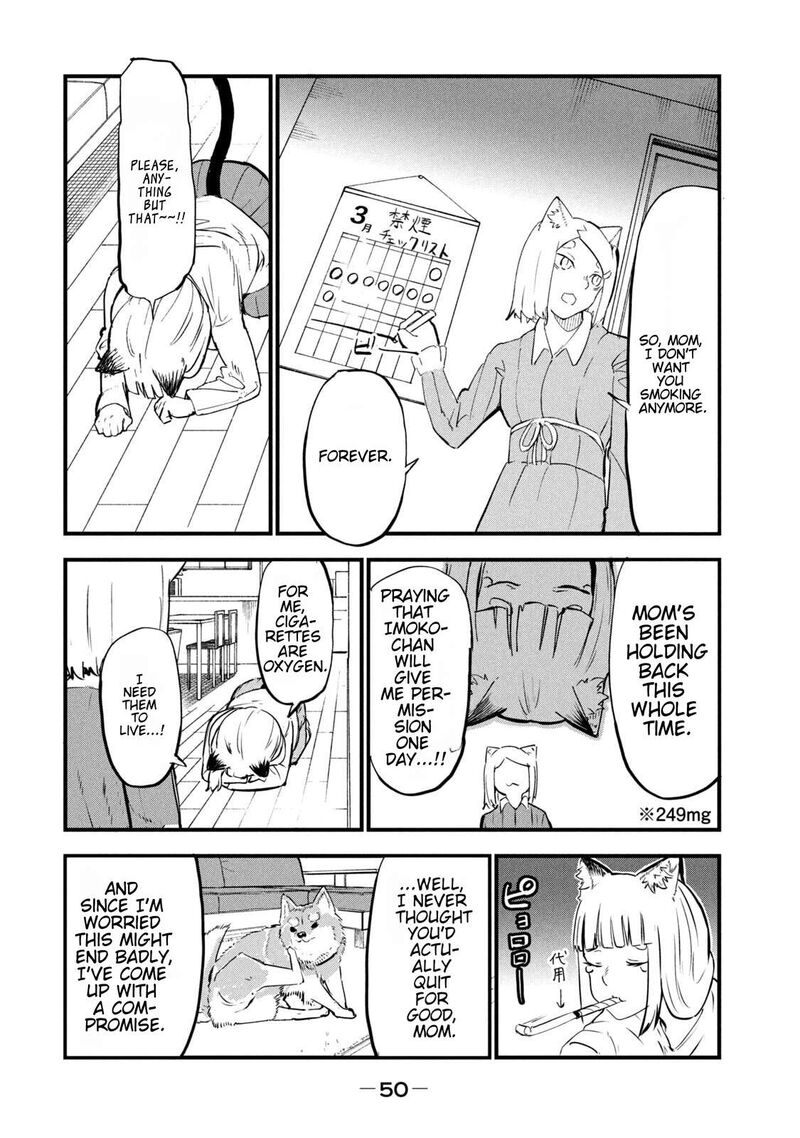 Yani Neko 253 2