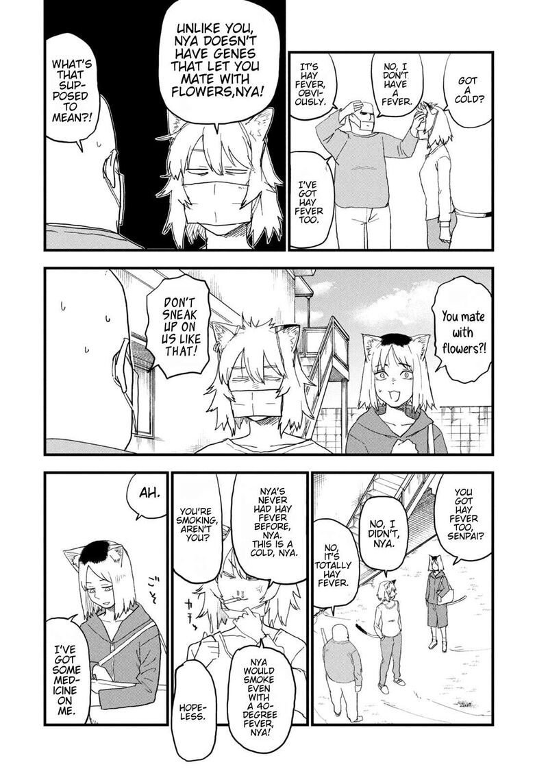Yani Neko 254 2