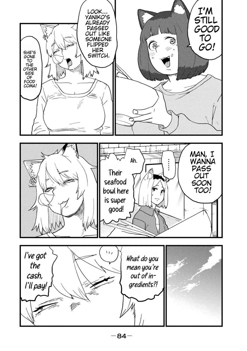 Yani Neko 259 4