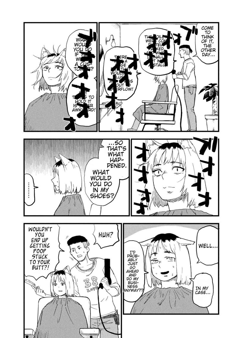 Yani Neko 260 3