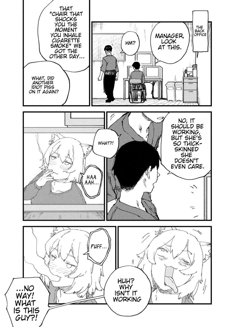 Yani Neko 262 3