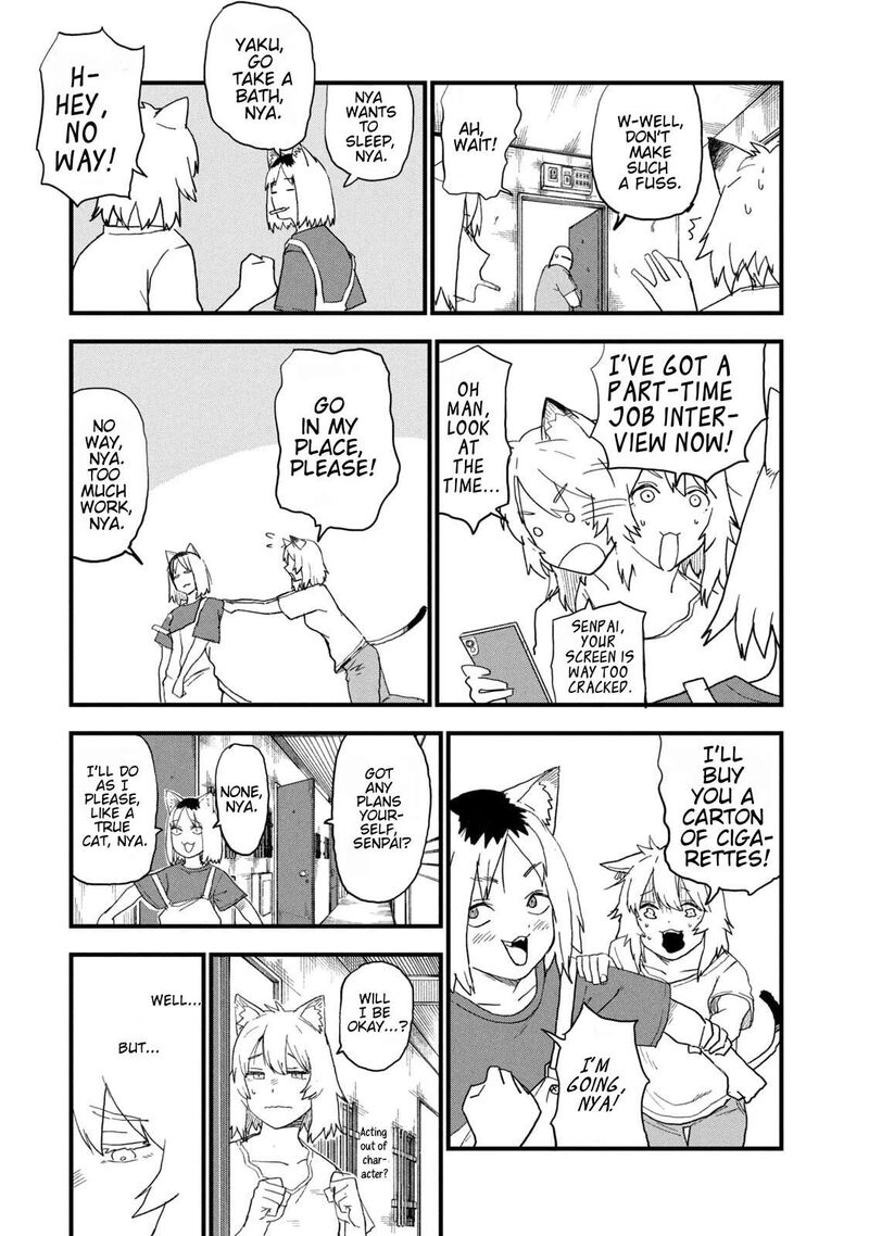 Yani Neko 263 4