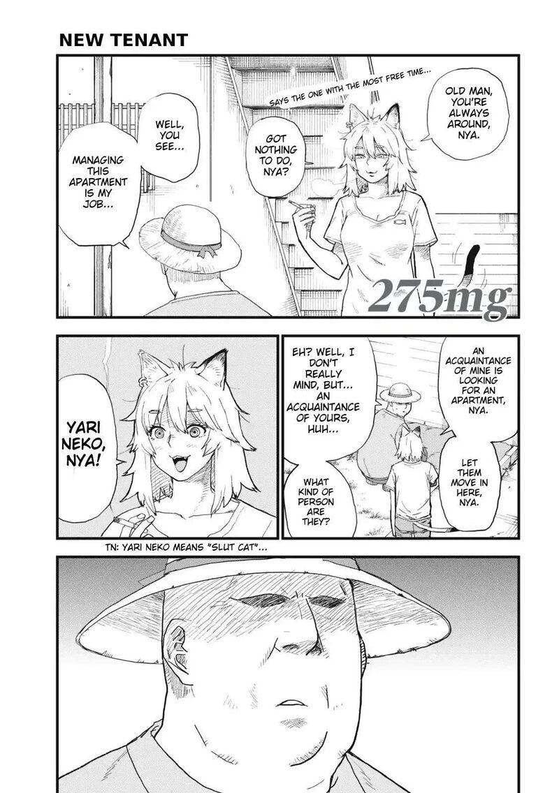 Yani Neko 275 1