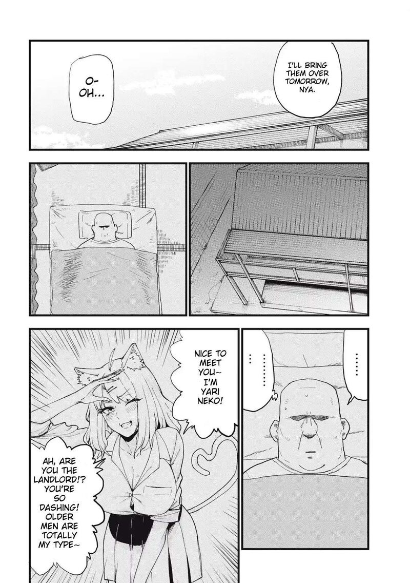 Yani Neko 275 2