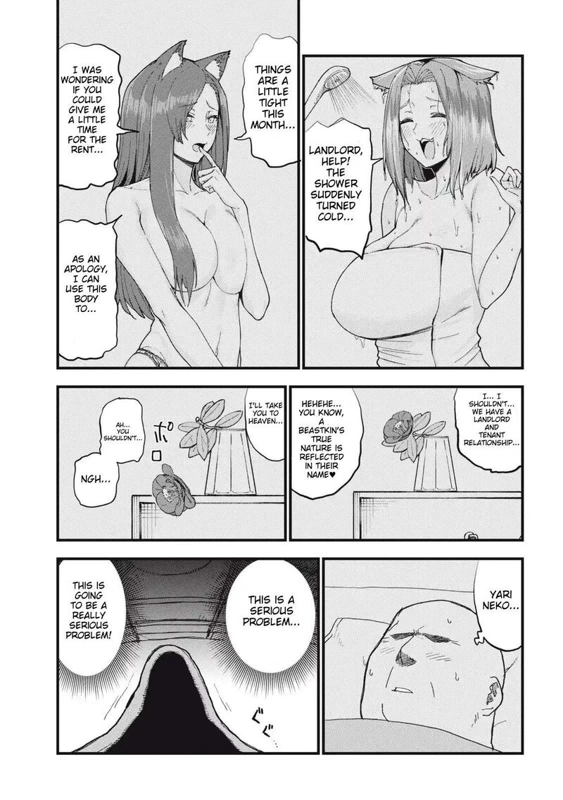 Yani Neko 275 3