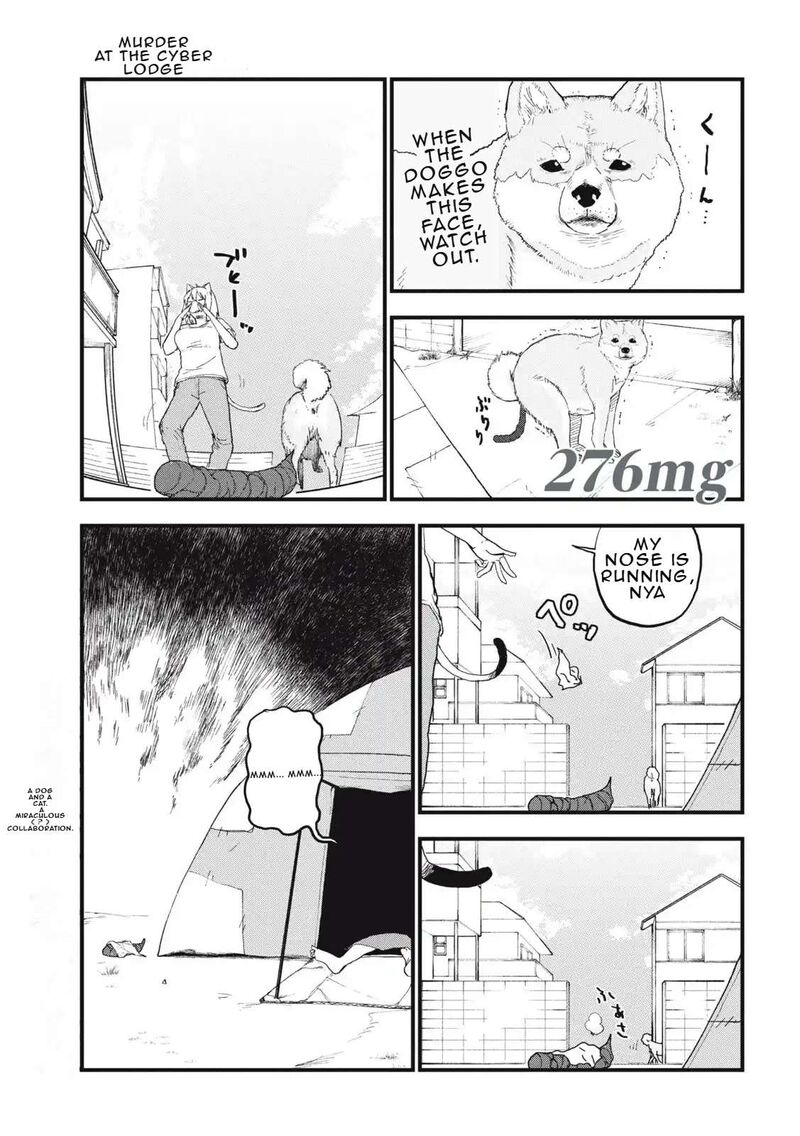 Yani Neko 276 1