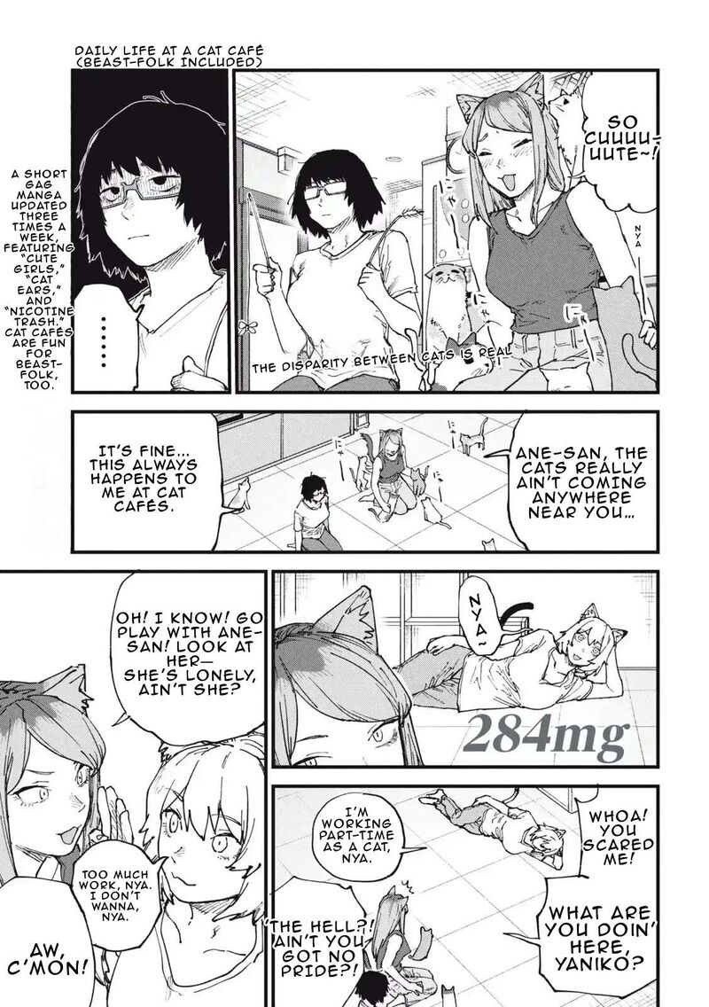 Yani Neko 284 1