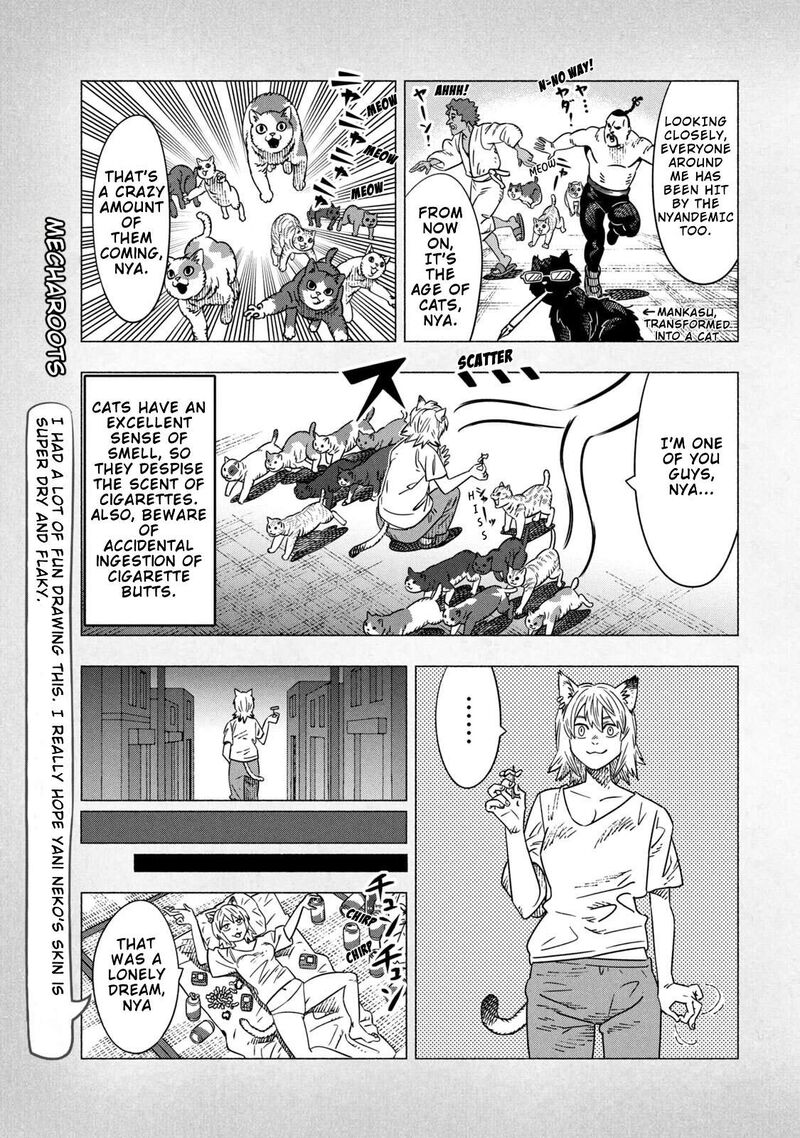 Yani Neko 298e 3