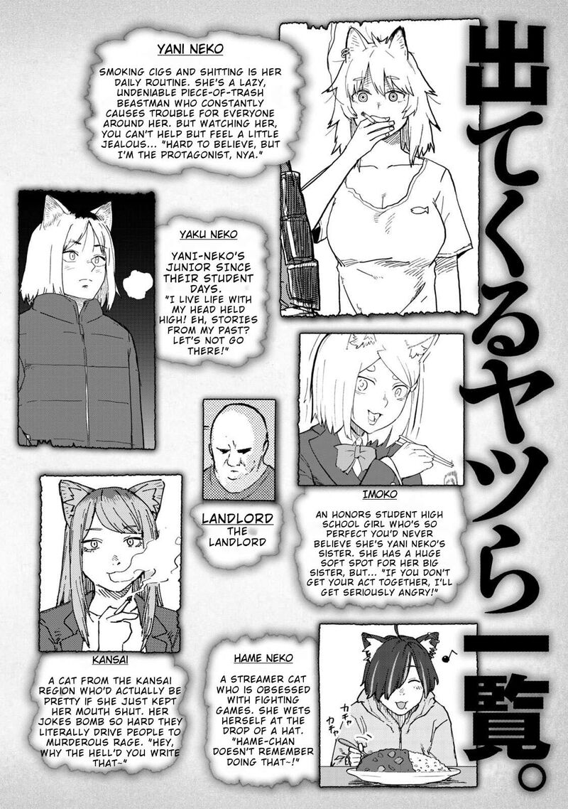 Yani Neko 299 4