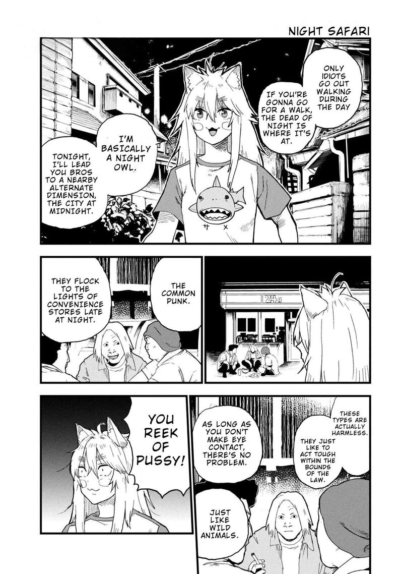 Yani Neko 300 1