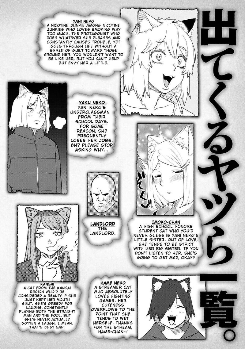 Yani Neko 325 2