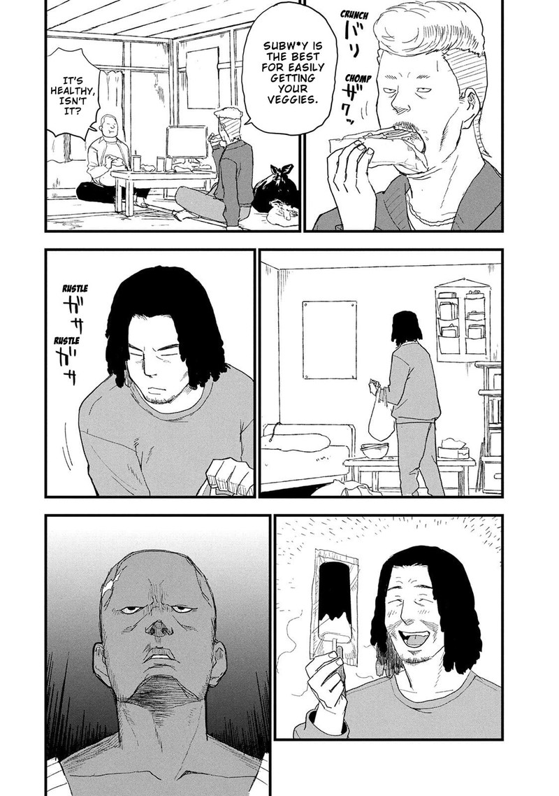 Yani Neko 330 4