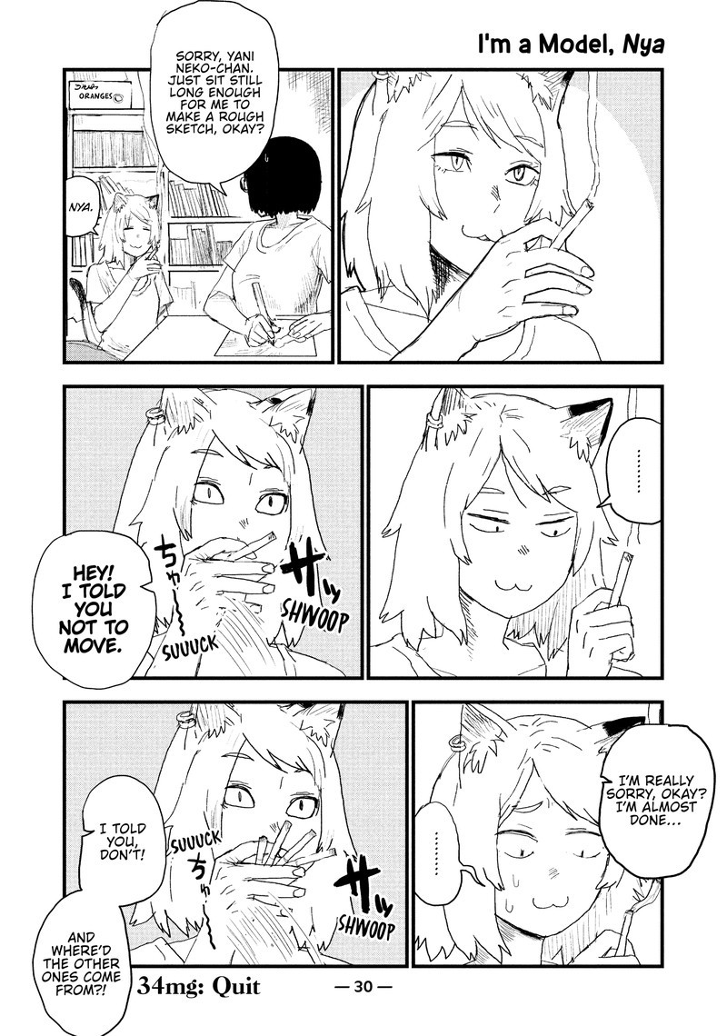 Yani Neko 34 4