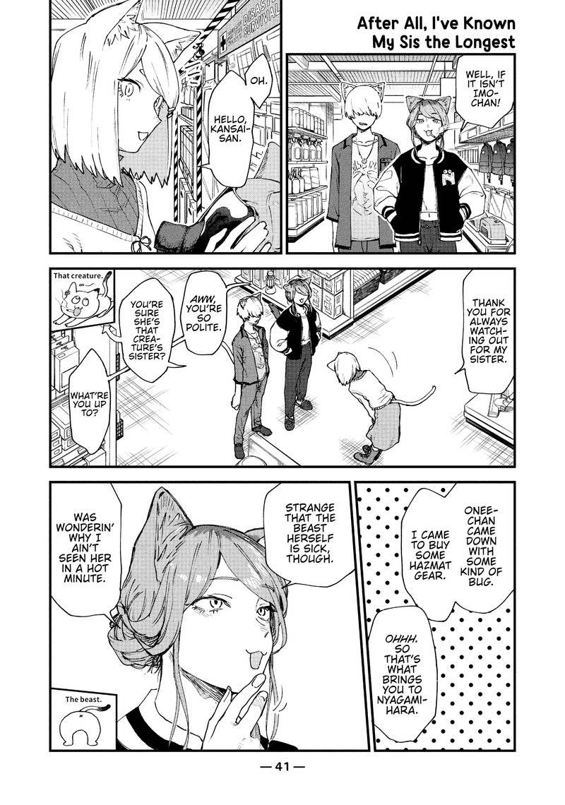 Yani Neko 36 3