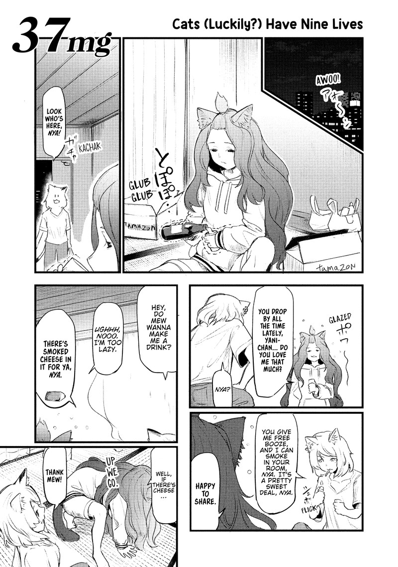 Yani Neko 37 1