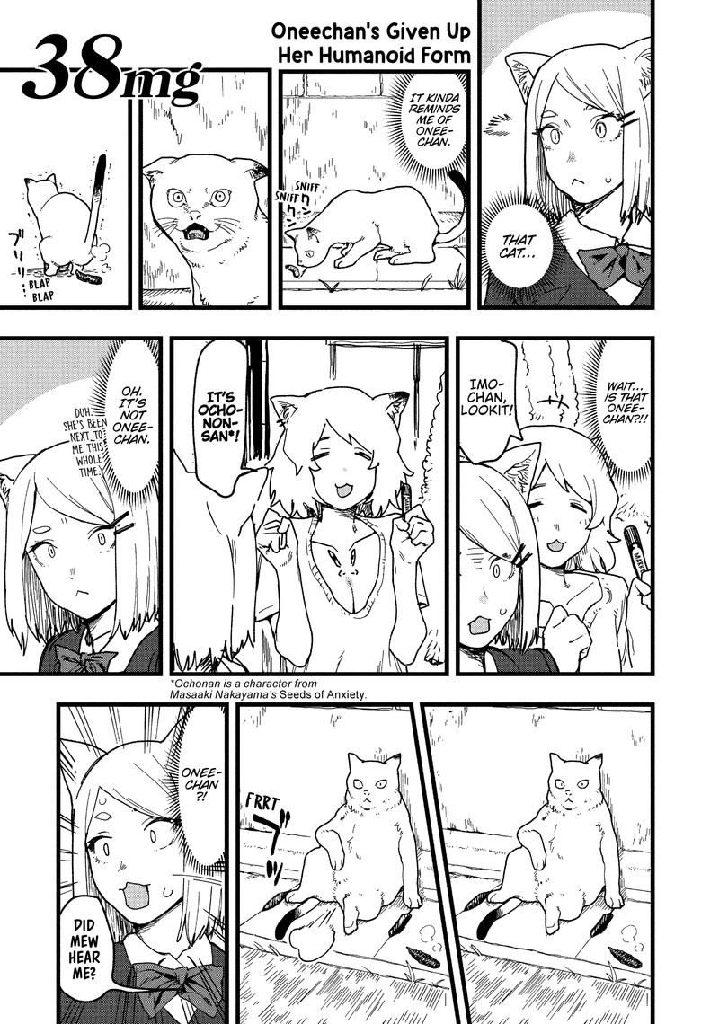 Yani Neko 38 1