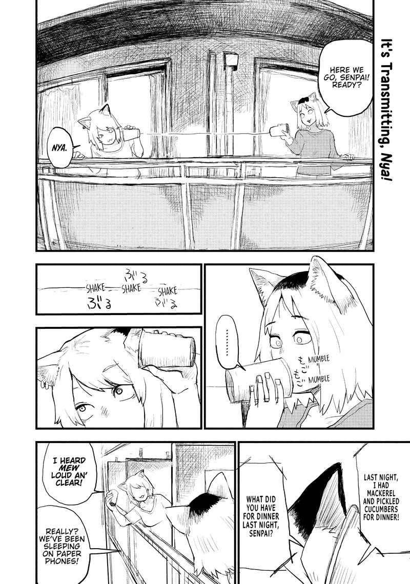 Yani Neko 38 2