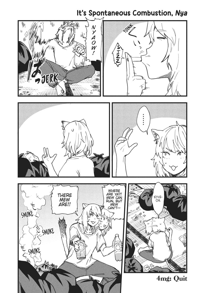Yani Neko 4 8