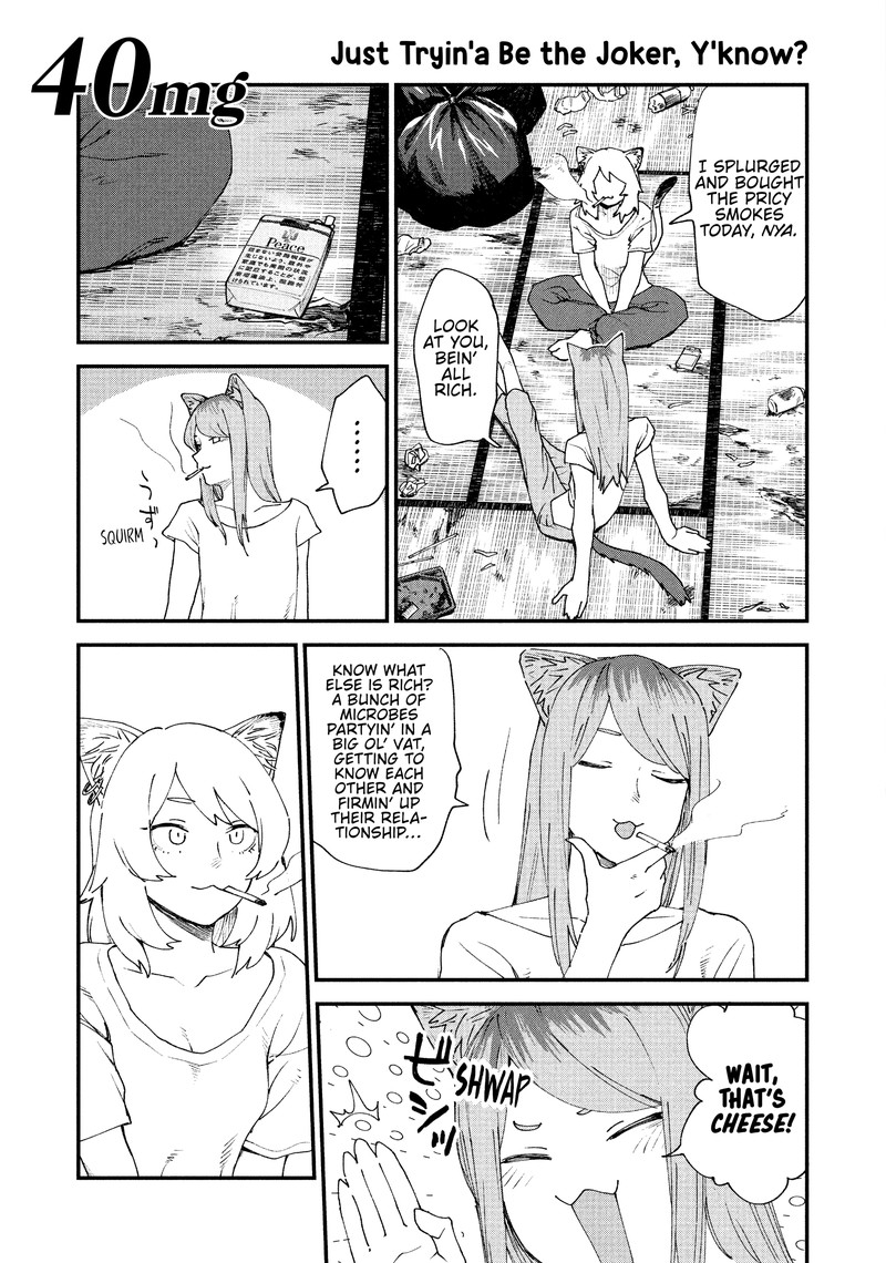 Yani Neko 40 1