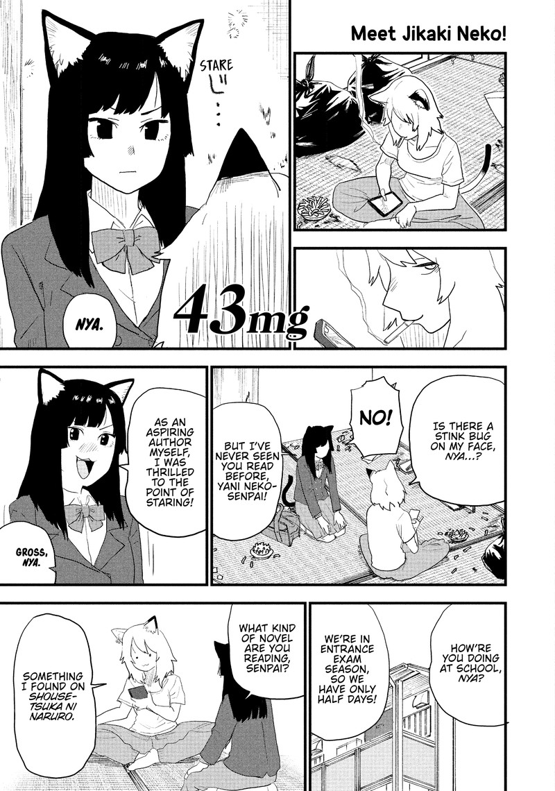 Yani Neko 43 1