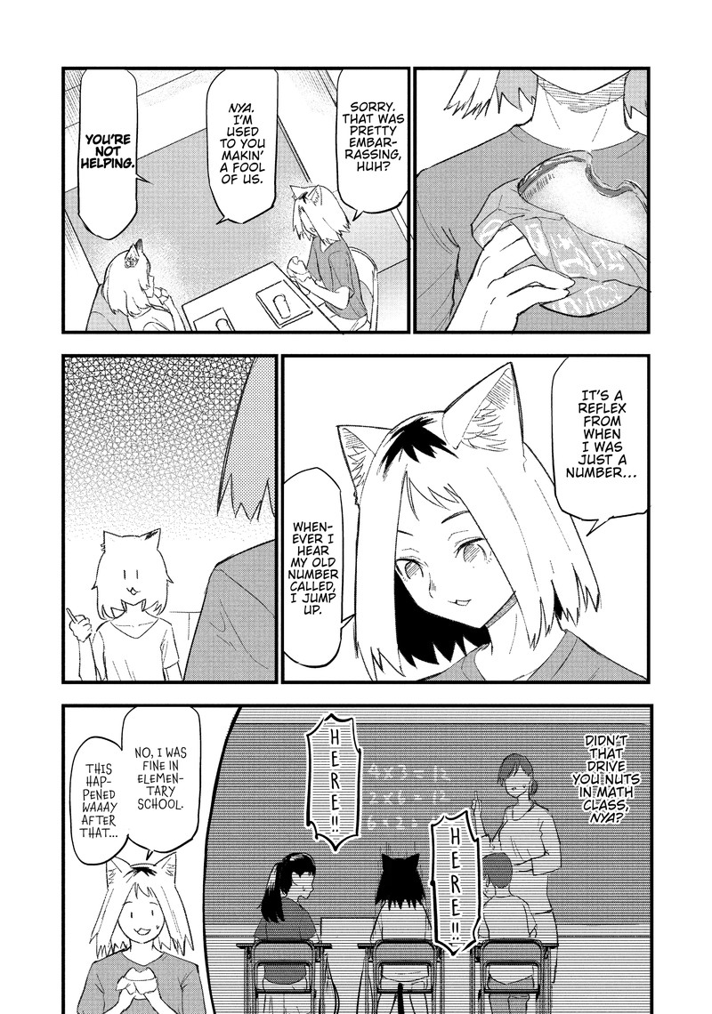 Yani Neko 51 3