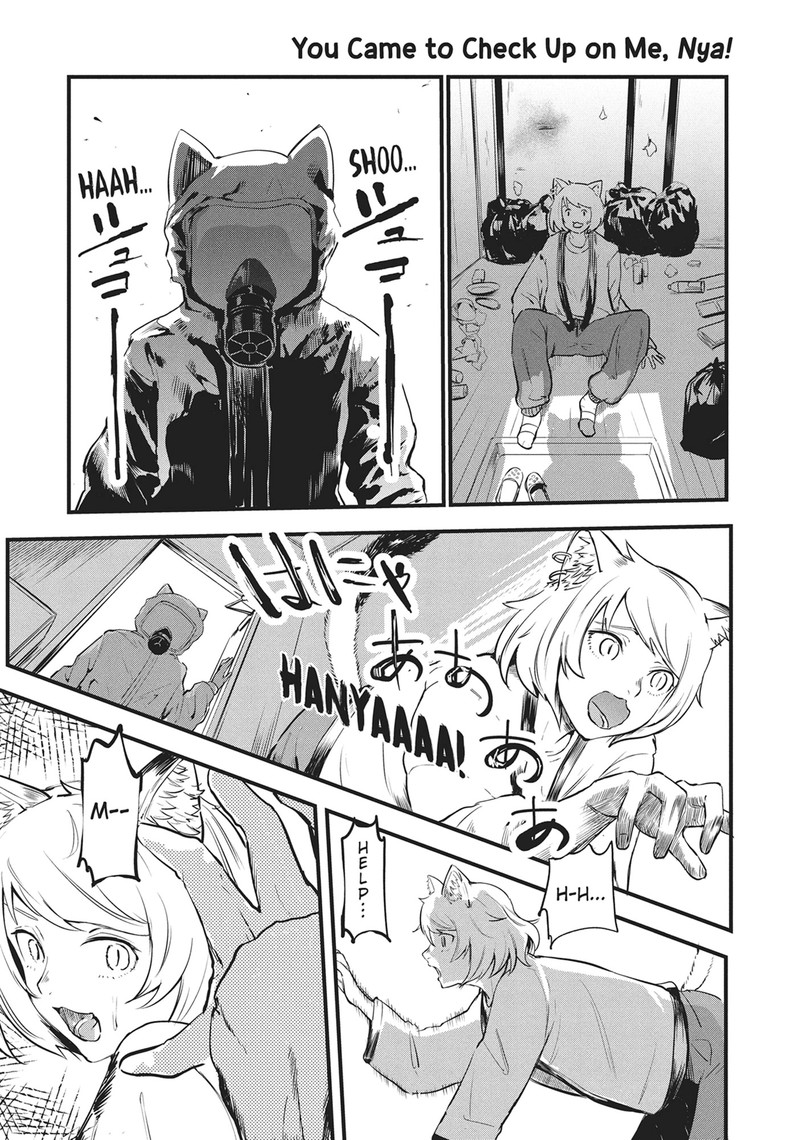 Yani Neko 6 3