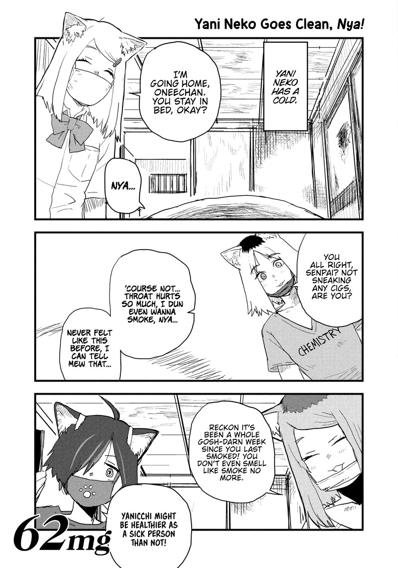 Yani Neko 62 1