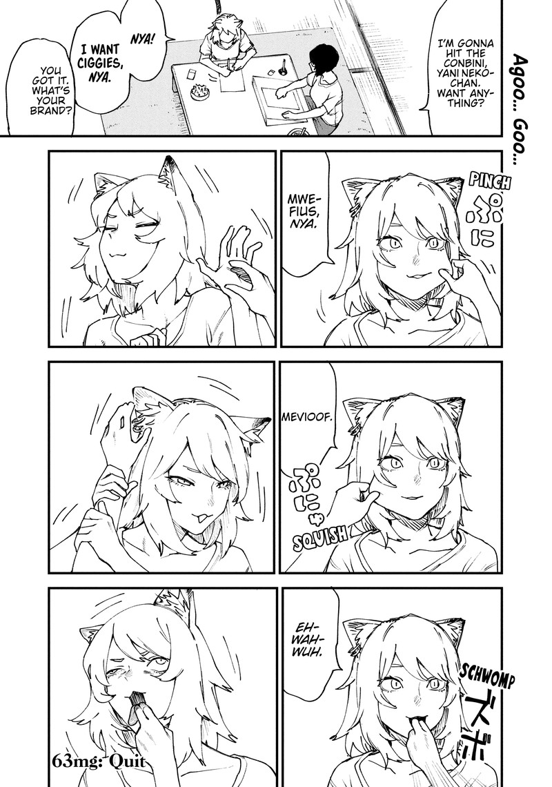 Yani Neko 63 4