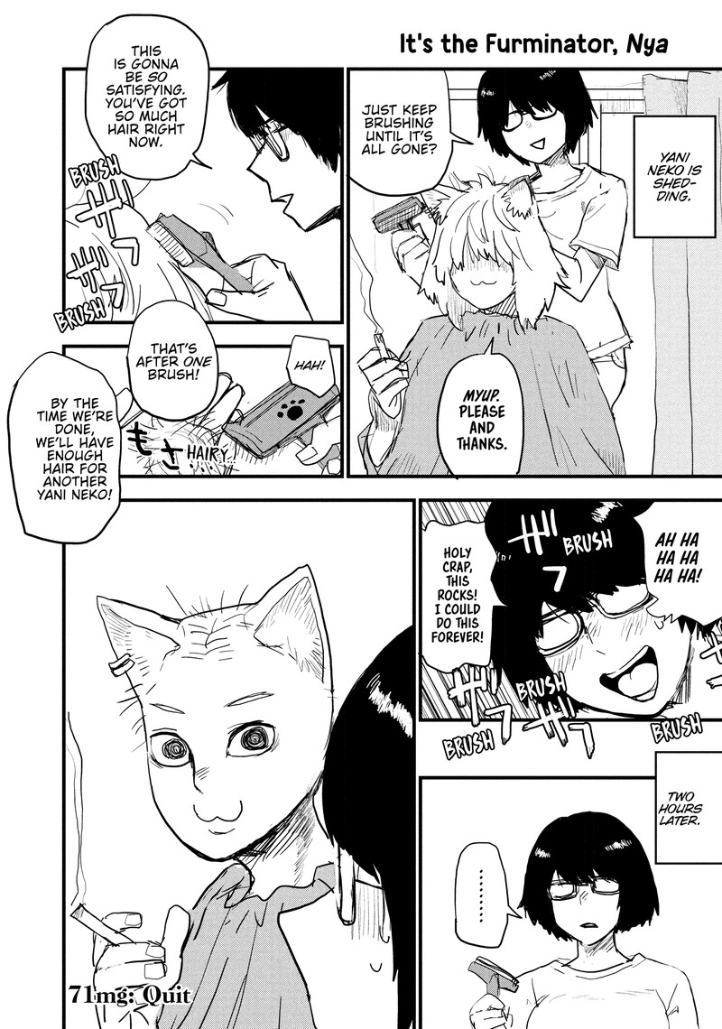 Yani Neko 71 4