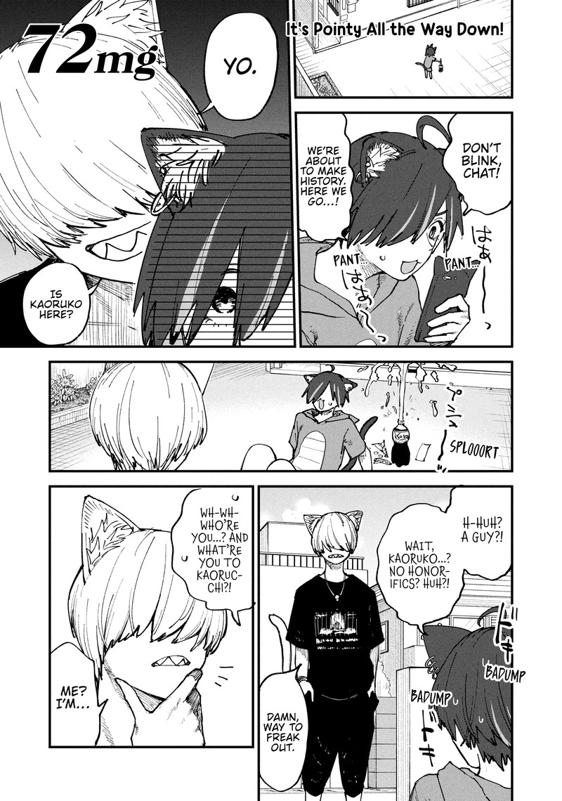 Yani Neko 72 1