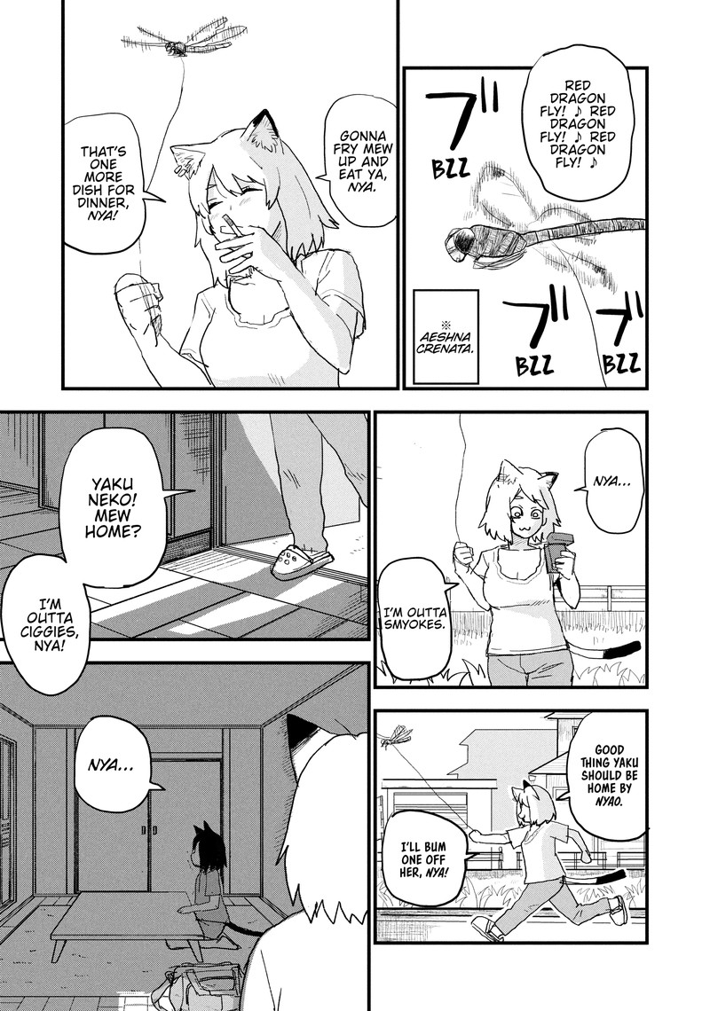 Yani Neko 75 3