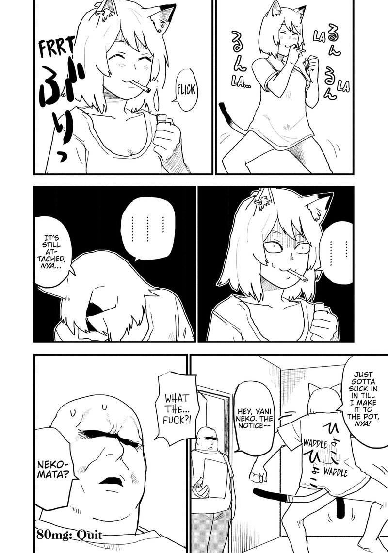 Yani Neko 80 4