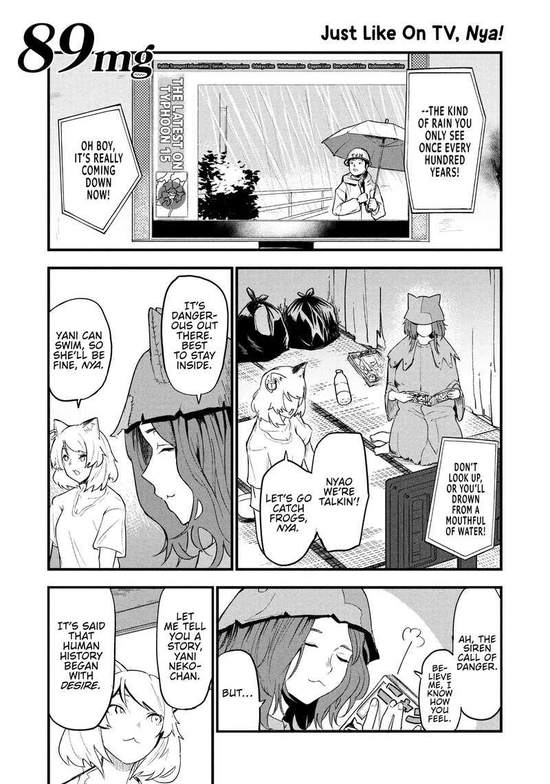 Yani Neko 89 1